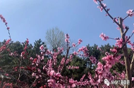 青岛海美特_青岛海美特聚脲_青岛海美特聚脲公司